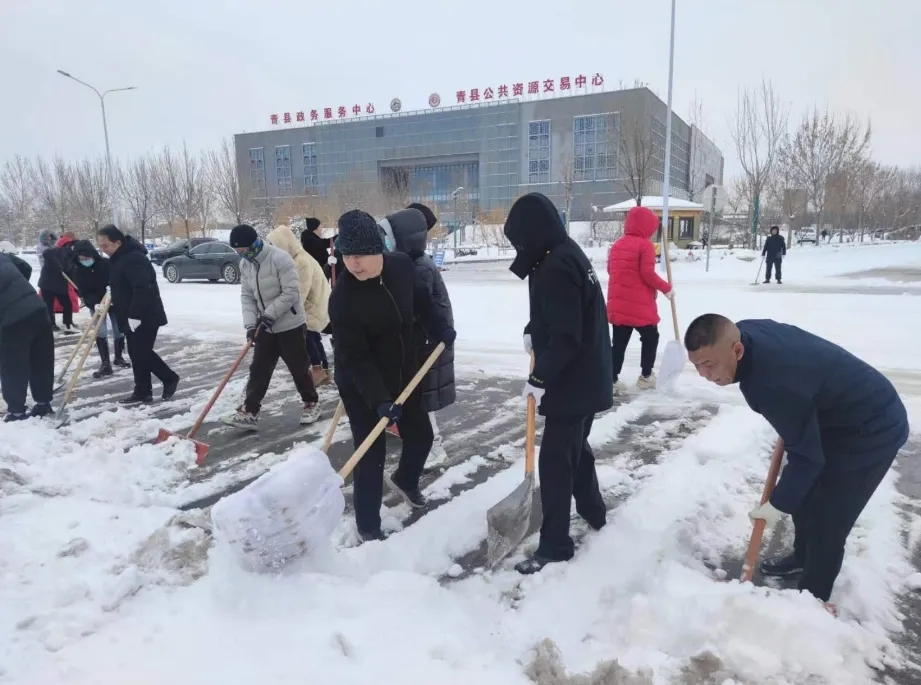 “以雪為令 聞雪而動”青縣文體廣電和旅游局掃雪除冰護平安