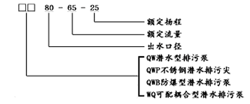 大東海泵業(yè)WQ潛水無堵塞排污泵型號(hào)意義