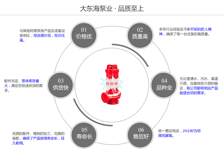 大東海泵業(yè)耐高溫排污泵質(zhì)量保證圖