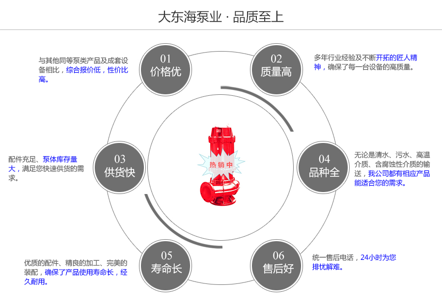 大東海泵業(yè)熱水潛水排污泵質(zhì)量保證圖